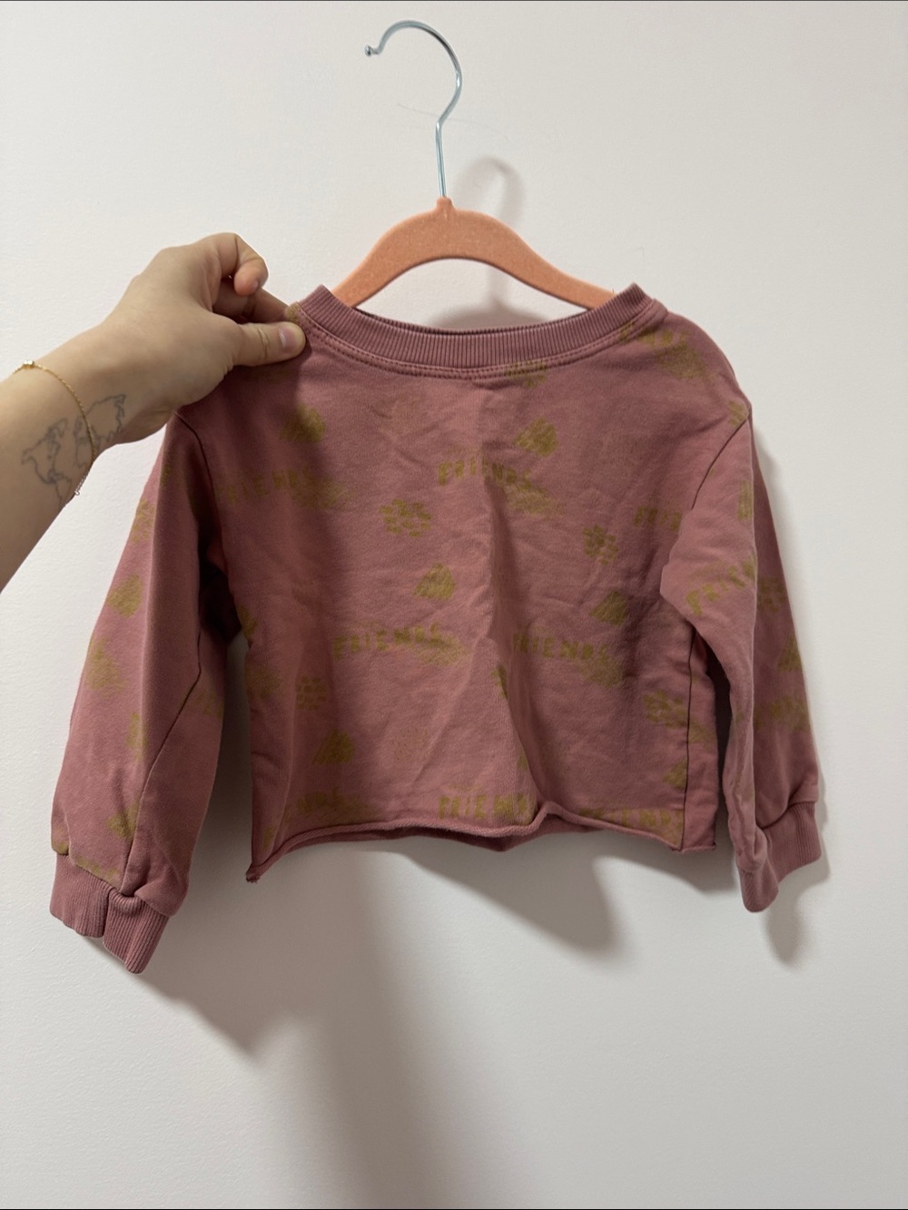 Kids Mauve Cropped Sweatshirt with Olive Accent Print
